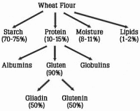 wheatfloorcomposition.gif