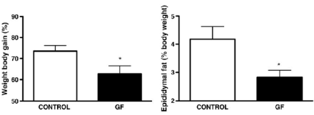 Put on less weight with gluten free diet